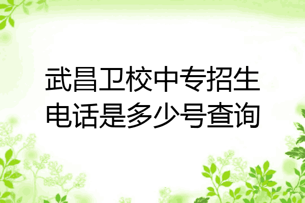 武昌卫校中专招生电话是多少号查询