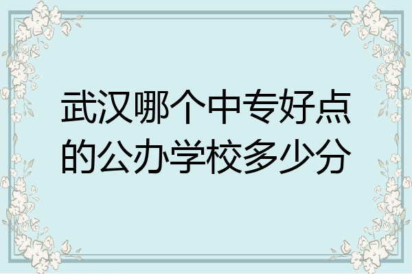 武汉哪个中专好点的公办学校多少分