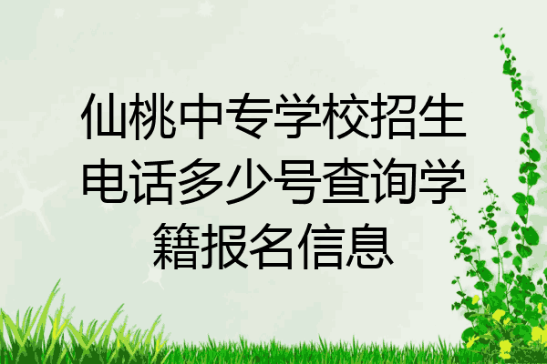 仙桃中专学校招生电话多少号查询学籍报名信息