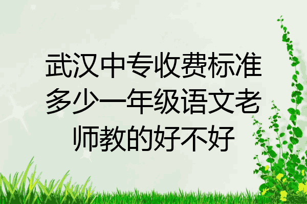 武汉中专收费标准多少一年级语文老师教的好不好