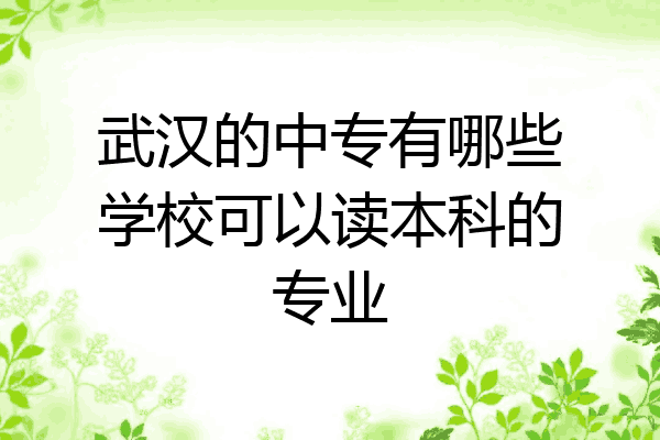 武汉的中专有哪些学校可以读本科的专业