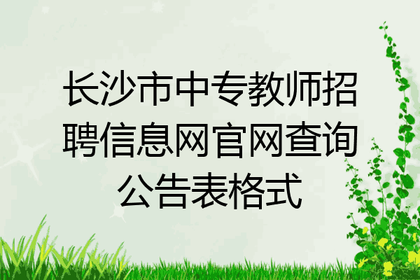 长沙市中专教师招聘信息网官网查询公告表格式