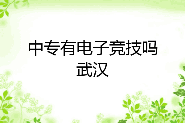 中专有电子竞技吗武汉