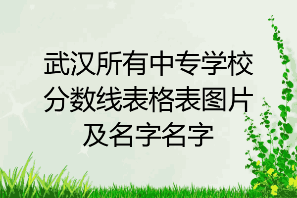 武汉所有中专学校分数线表格表图片及名字名字