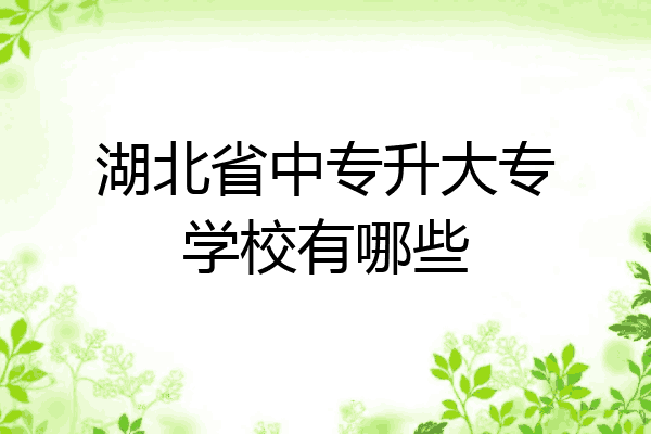 湖北省中专升大专学校有哪些