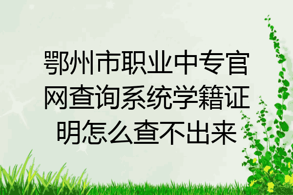 鄂州市职业中专官网查询系统学籍证明怎么查不出来