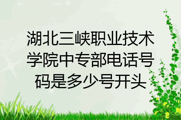 湖北三峡职业技术学院中专部电话号码是多少号开头