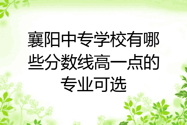 襄阳中专学校有哪些分数线高一点的专业可选