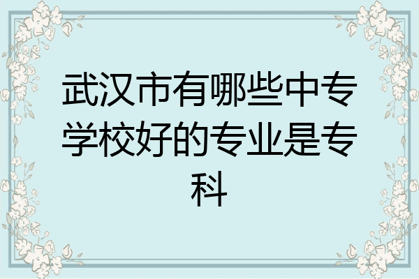武汉市有哪些中专学校好的专业是专科