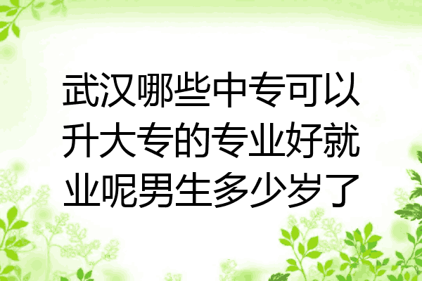 武汉哪些中专可以升大专的专业好就业呢男生多少岁了