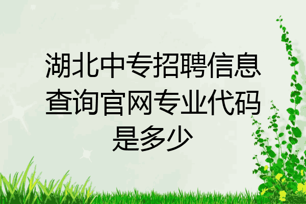 湖北中专招聘信息查询官网专业代码是多少