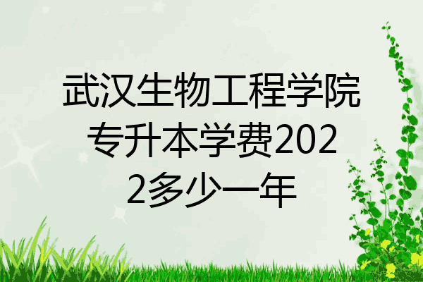 武汉生物工程学院专升本学费2022多少一年