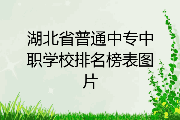 湖北省普通中专中职学校排名榜表图片
