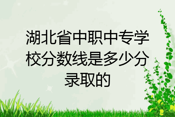 湖北省中职中专学校分数线是多少分录取的