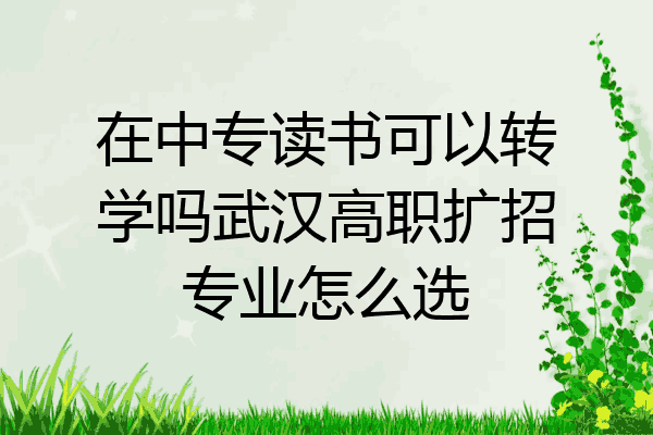 在中专读书可以转学吗武汉高职扩招专业怎么选