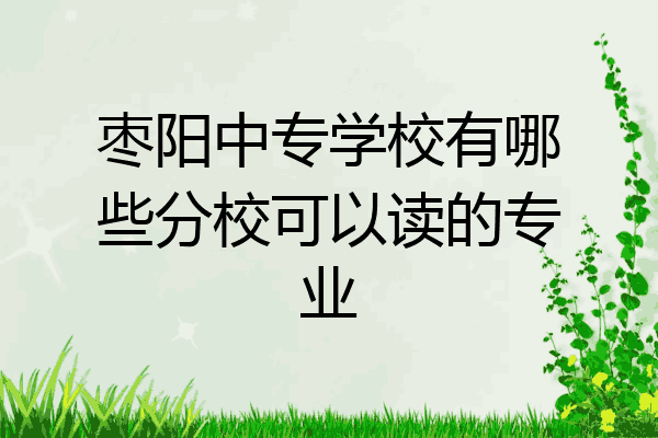 枣阳中专学校有哪些分校可以读的专业