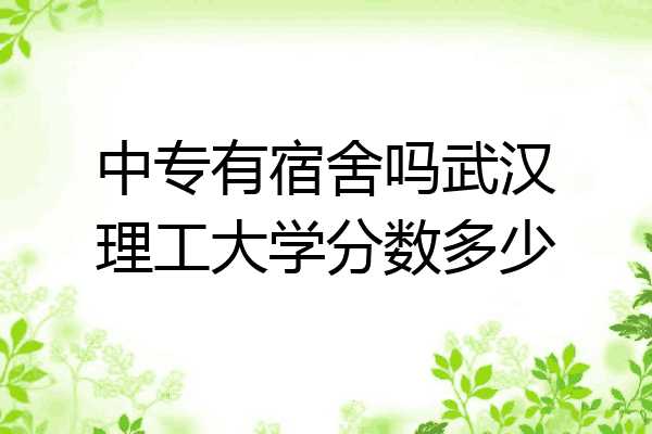 中专有宿舍吗武汉理工大学分数多少