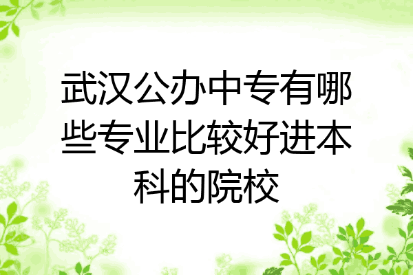 武汉公办中专有哪些专业比较好进本科的院校