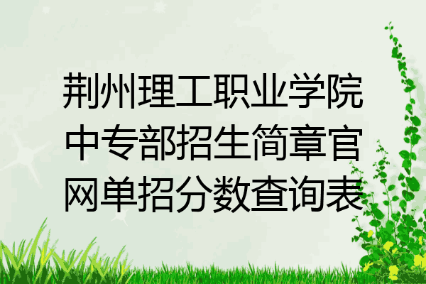 荆州理工职业学院中专部招生简章官网单招分数查询表