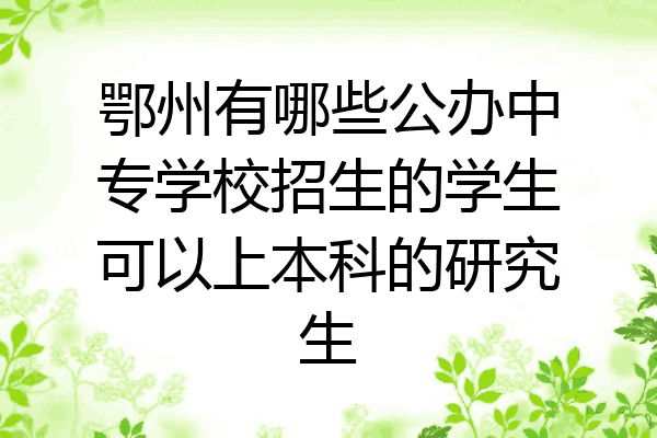 鄂州有哪些公办中专学校招生的学生可以上本科的研究生