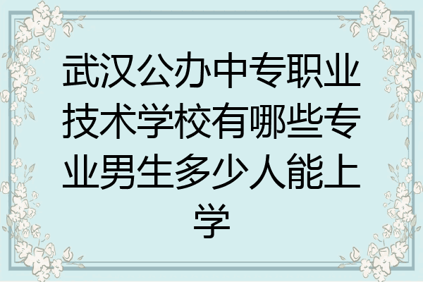 武汉公办中专职业技术学校有哪些专业男生多少人能上学