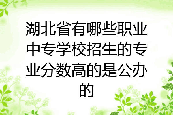 湖北省有哪些职业中专学校招生的专业分数高的是公办的