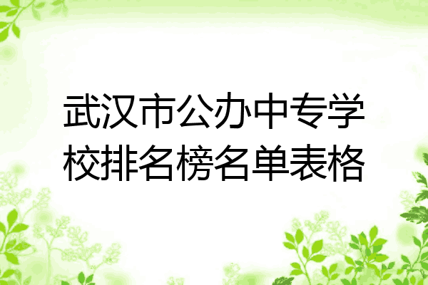武汉市公办中专学校排名榜名单表格