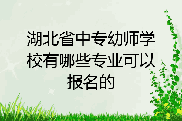 湖北省中专幼师学校有哪些专业可以报名的