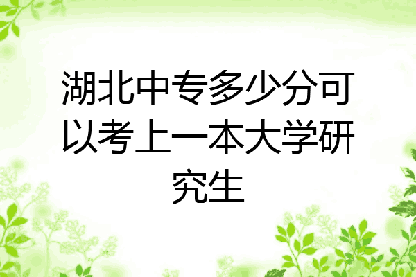 湖北中专多少分可以考上一本大学研究生