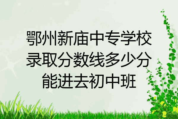 鄂州新庙中专学校录取分数线多少分能进去初中班