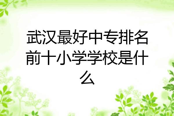 武汉最好中专排名前十小学学校是什么