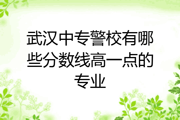 武汉中专警校有哪些分数线高一点的专业