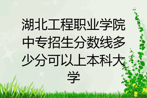 湖北工程职业学院中专招生分数线多少分可以上本科大学