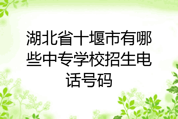 湖北省十堰市有哪些中专学校招生电话号码