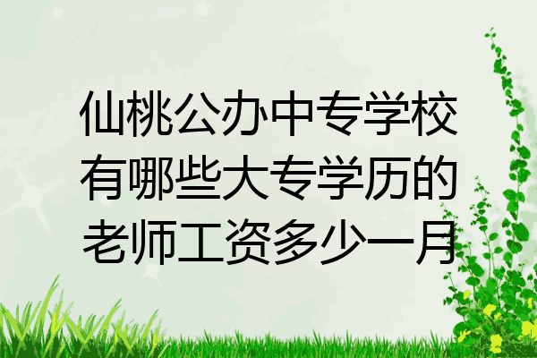 仙桃公办中专学校有哪些大专学历的老师工资多少一月