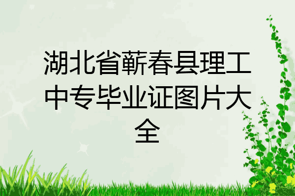 湖北省蕲春县理工中专毕业证图片大全