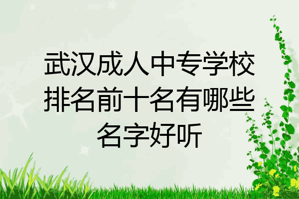 武汉成人中专学校排名前十名有哪些名字好听