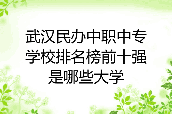 武汉民办中职中专学校排名榜前十强是哪些大学