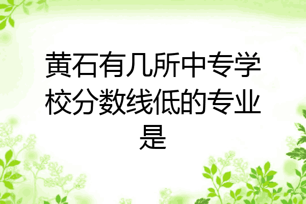 黄石有几所中专学校分数线低的专业是