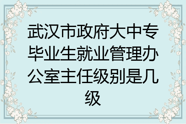 武汉市政府大中专毕业生就业管理办公室主任级别是几级