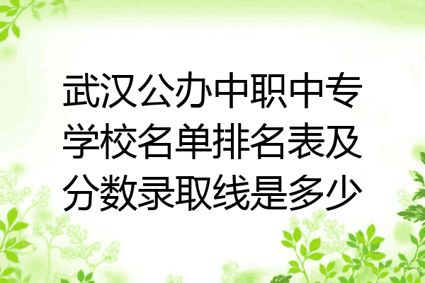武汉公办中职中专学校名单排名表及分数录取线是多少