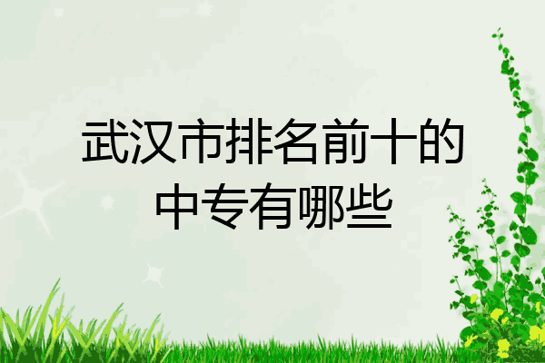 武汉市排名前十的中专有哪些