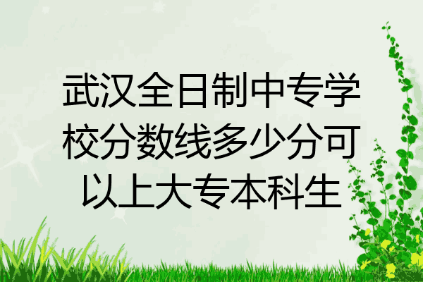 武汉全日制中专学校分数线多少分可以上大专本科生