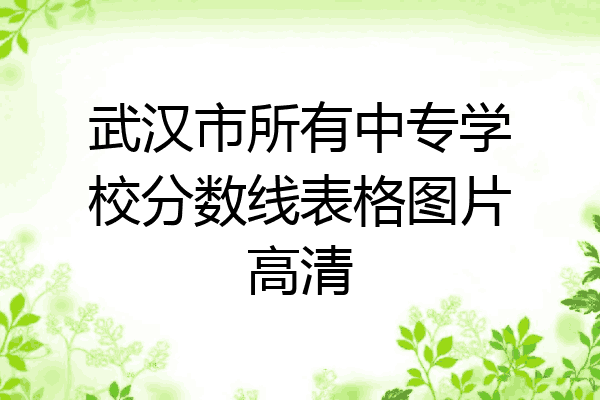 武汉市所有中专学校分数线表格图片高清