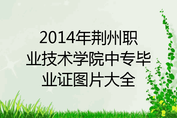 2014年荆州职业技术学院中专毕业证图片大全