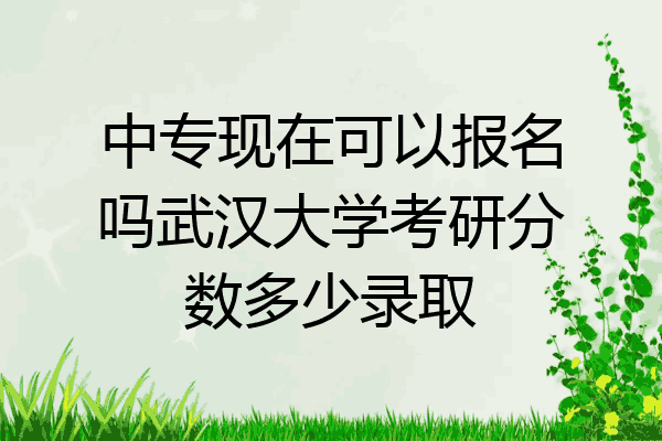 中专现在可以报名吗武汉大学考研分数多少录取
