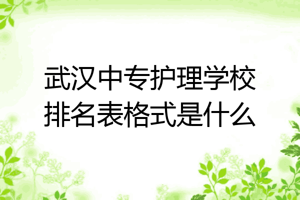 武汉中专护理学校排名表格式是什么