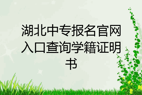 湖北中专报名官网入口查询学籍证明书