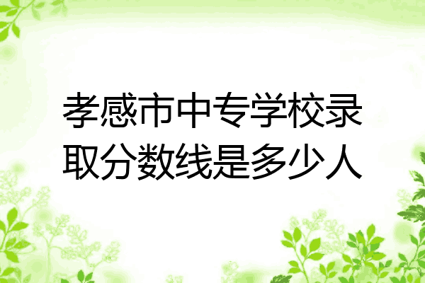 孝感市中专学校录取分数线是多少人