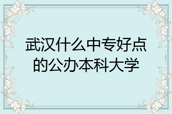 武汉什么中专好点的公办本科大学